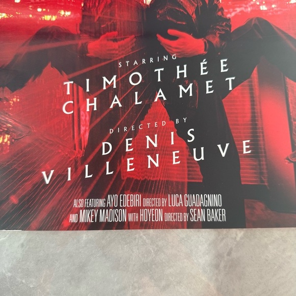 W 2 Magazine Bundle - Timothee Chalamet And Adrien Brody - Picture 6 of 11